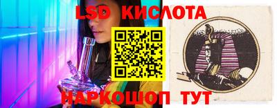 2c-b Кингисепп