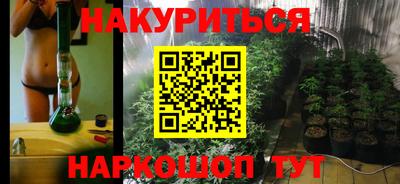 2c-b Кингисепп
