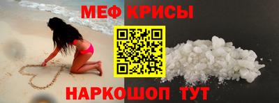 2c-b Кингисепп
