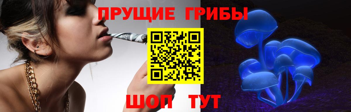 Куйбышев  Псилоцибиновые грибы GOLDEN TEACHER  Вход с VPN 