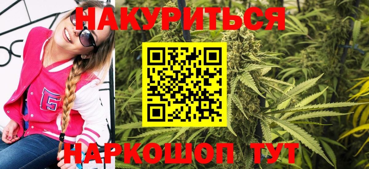 Бошки Шишки сатива Куйбышев